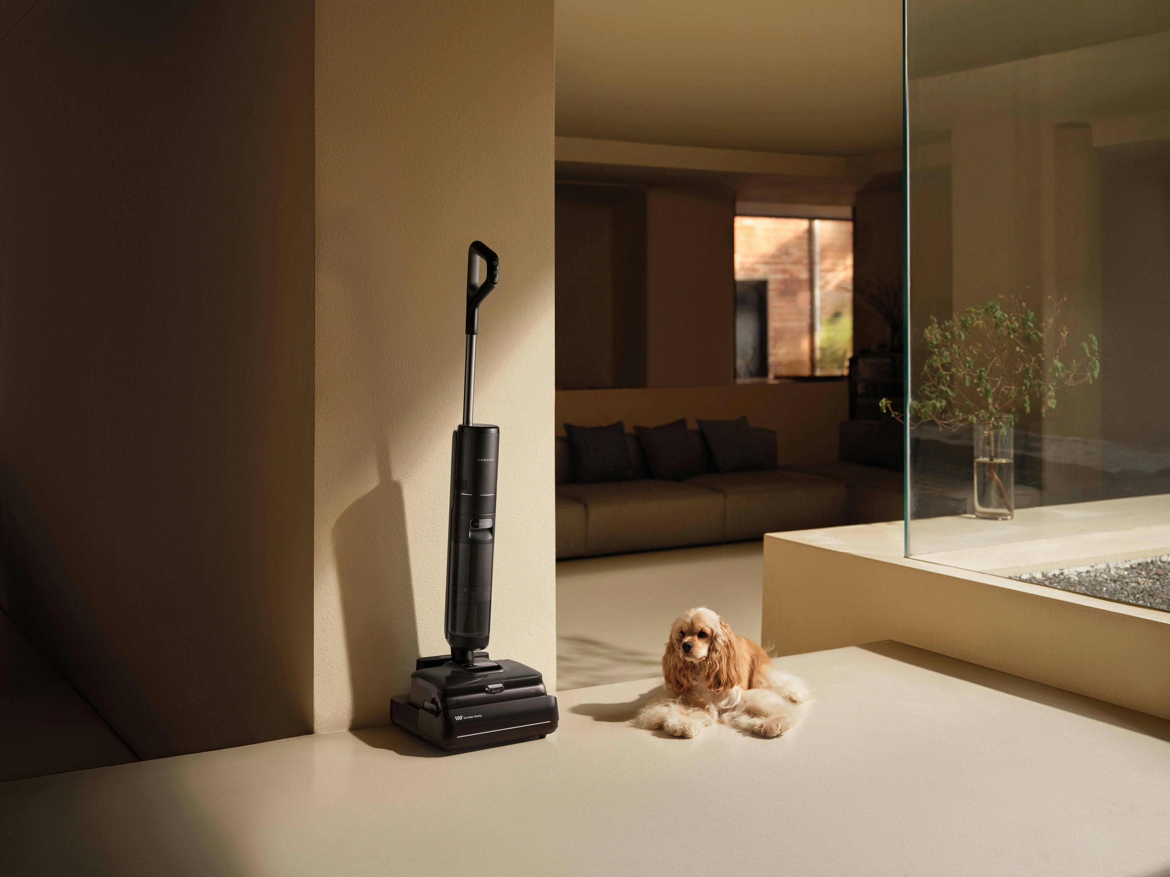 The Ultimate Guide to Managing Shedding Season in a Carpeted Home