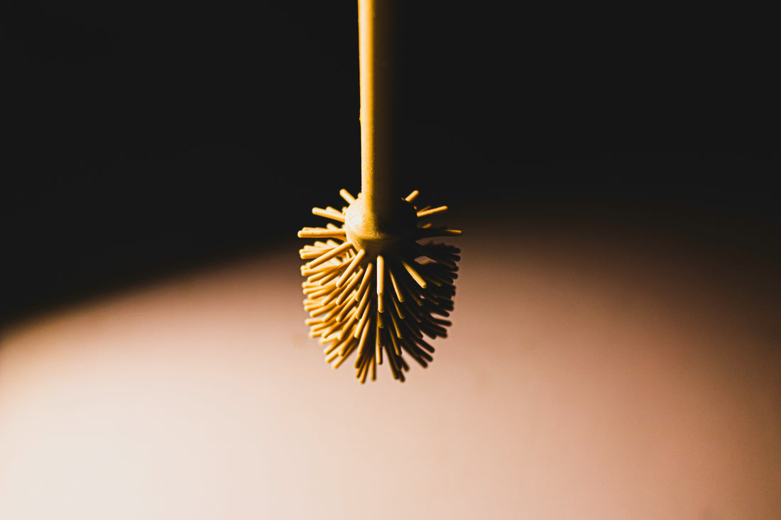 Why It’s Time to Ditch Your Plastic Toilet Brush (And What to Use Instead)