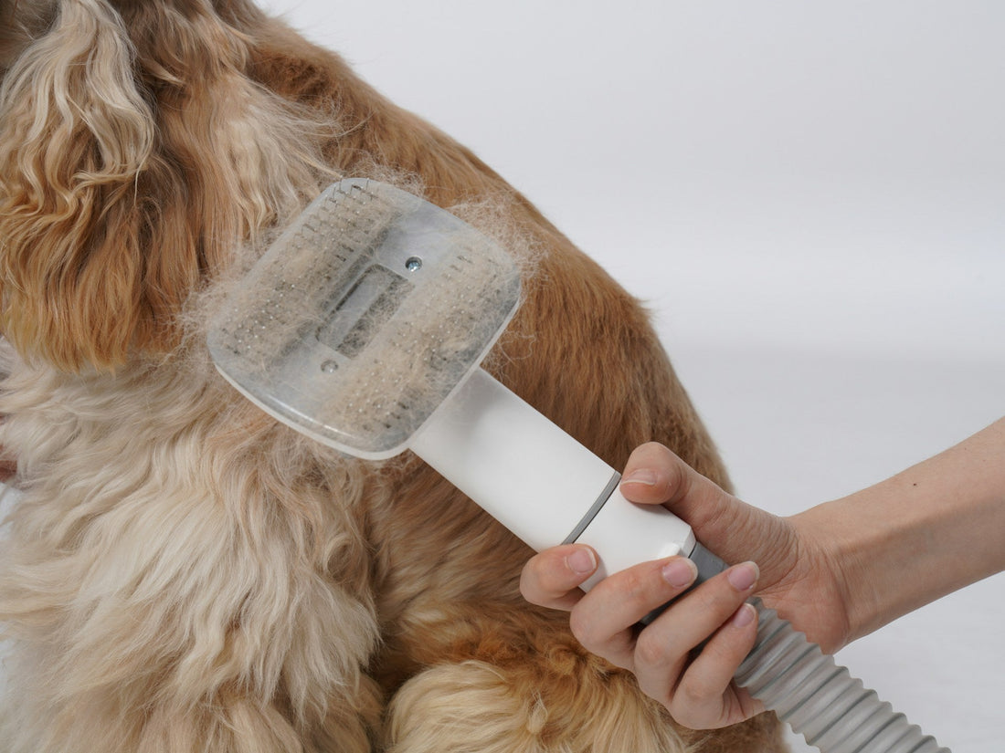 Why Grooming Vacuums are a Game-Changer for Anxious Pets