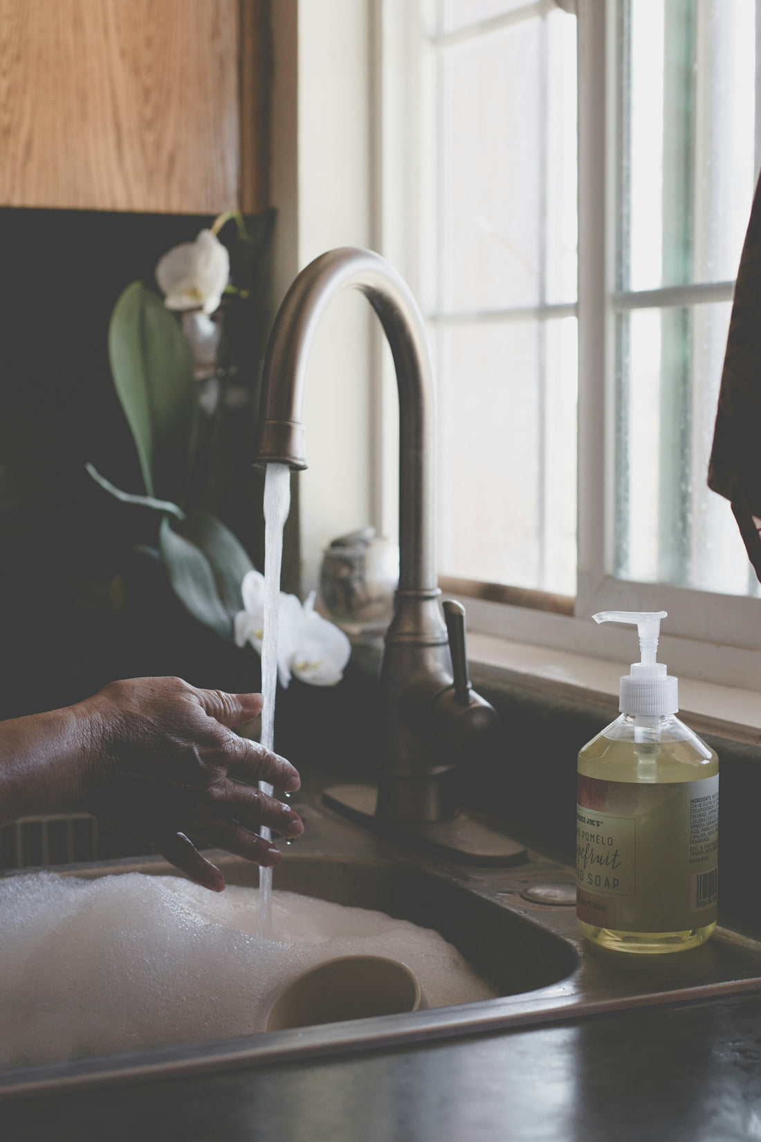 The Ultimate Guide to Choosing the Right Dish Soap & Detergents for Your Kitchen
