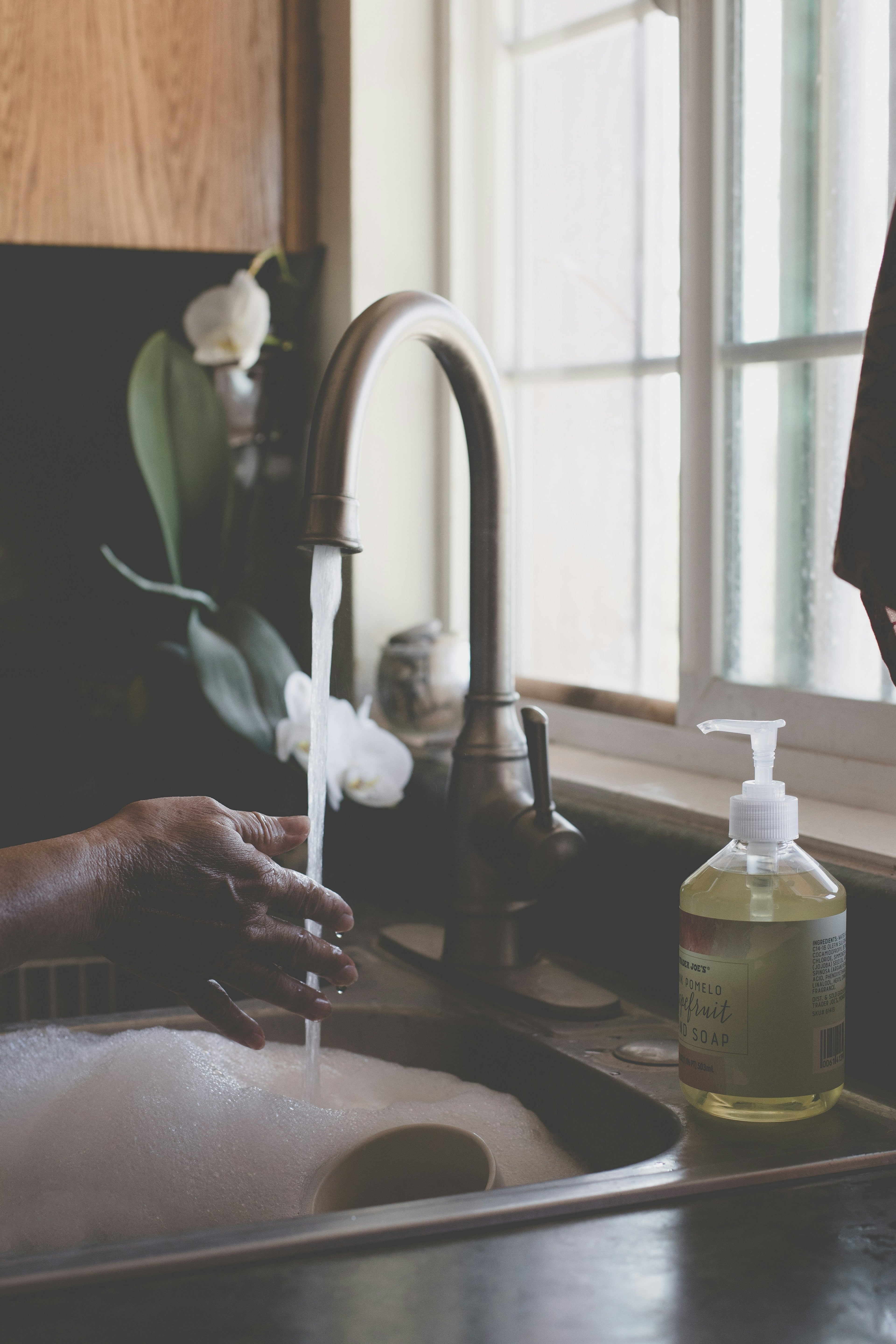The Ultimate Guide to Choosing the Right Dish Soap & Detergents for Your Kitchen