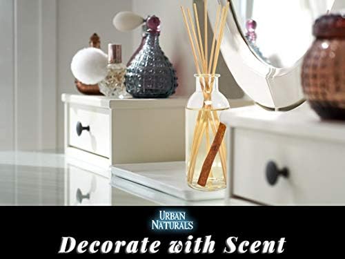 Urban Naturals Cinnamon Vanilla Oil Reed Diffuser Set | Warm, Fresh Baked Cookies | Perfect Fall Scent! | Made w/Essential Oils | Great Kitchen Scent & Gift Idea | Eco-Friendly. Vegan.