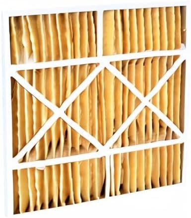 Filterbuy 20x25x5 Air Filter MERV 11 Superior Pet & Allergy Defense (2-Pack), Pleated HVAC AC Furnace Filters for Amana, Coleman, Goodman, Maytag, York, and More (Actual Size: 20.19 x 25.31 x 5.25)