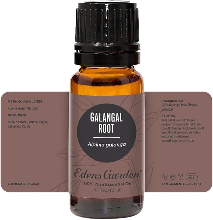 Edens Garden Galangal Root Essential Oil- 100% Pure Premium Grade, Undiluted, Natural, Therapeutic, Aromatherapy, The Best for Diffuser, Candle, Laundry, Humidifiers 10 ml (.33 fl oz)