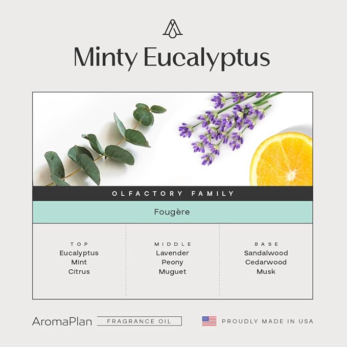 AromaPlan Hotel Scents Minty Eucalyptus 5 Fl Oz (2 Pack), Luxury Aroma & Hotel Fragrance Diffuser Oil- Hotel Diffuser Oil for Aromatherapy- USA Made, Bigger Bottle, Bolder Aroma & Longer Lasting