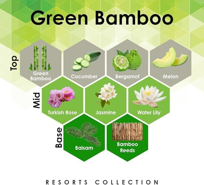 Aroma Retail Fragrance Oil Refill for Scent Machine Aroma Diffuser (4 fl oz, Green Bamboo)