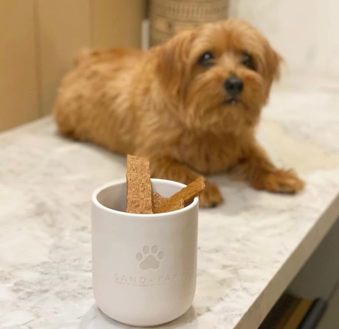 Sand + Paws Scented Candle - Apple Cider - Additional Scents and Sizes –Luxurious Air Freshening Jar Candles Neutralize pet Odors and Enhance Home décor – 100% Cotton Lead-Free Wicks - 21 oz