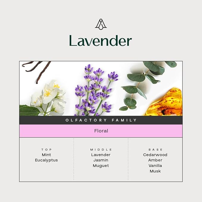 AromaPlan Hotel Scents Lavender 5 Fl Oz (2 Pack), Luxury Aroma & Hotel Fragrance Diffuser Oil- Hotel Diffuser Oil for Aromatherapy- USA Made, Bigger Bottle, Bolder Aroma & Longer Lasting