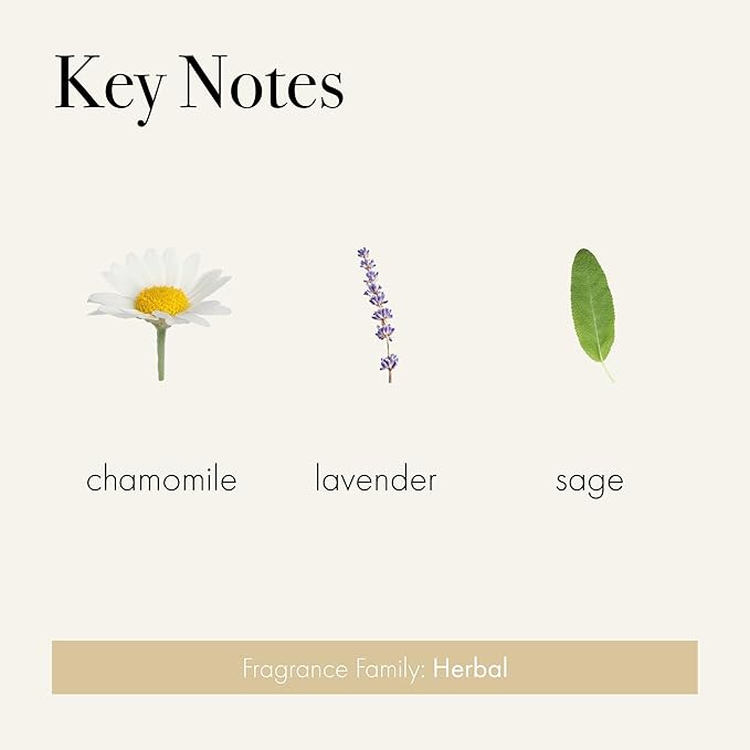 LAFCO New York Classic Reed Diffuser, Chamomile Lavender - 6 oz - Up to 3 Months Fragrance Life - Reusable, Hand Blown Glass Vessel - Natural Wood Reeds - Made in The USA