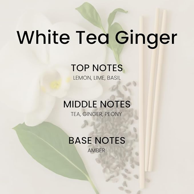 White Tea Reed Diffuser Set - Luxury Fragrance Stick Reed Diffusers for Home, Office & Bathroom Décor - Long-Lasting Scent Sticks Diffuser with Non-Toxic Oils (5.63 oz)