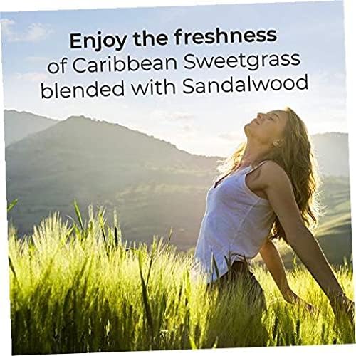 Air Wick Scented Oils 0+10 Sweetgrass & Sandalwood