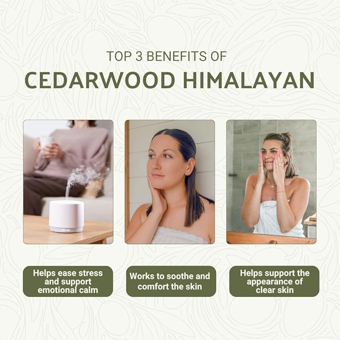Cedarwood Himalayan Essential Oil - 100% Pure Steam Distilled Natural Cedarwood Himalayan Oil (Aceite de Cedro) from Natural Biotech NBT India for Aromatherapy & DIY Projects - 8oz