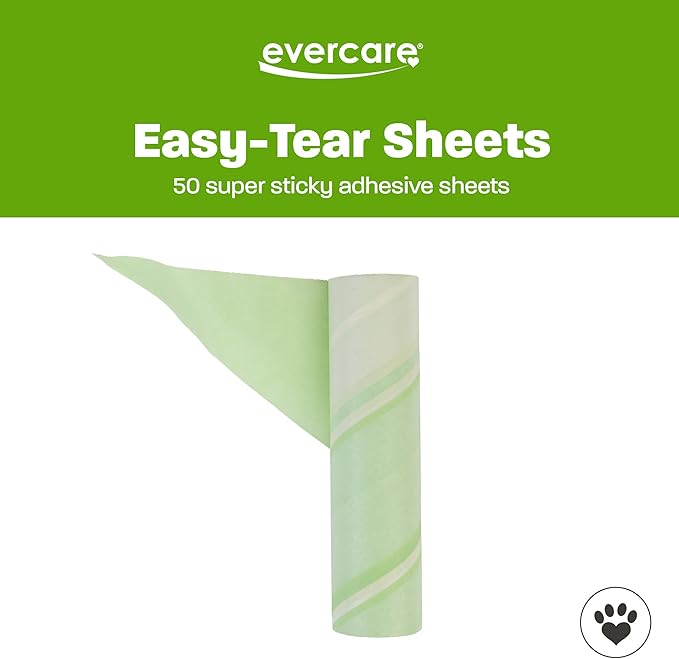Evercare Pack of 3 All-Purpose Pet Mega Oversized Lint Roller Refills, 50 Sheets Each