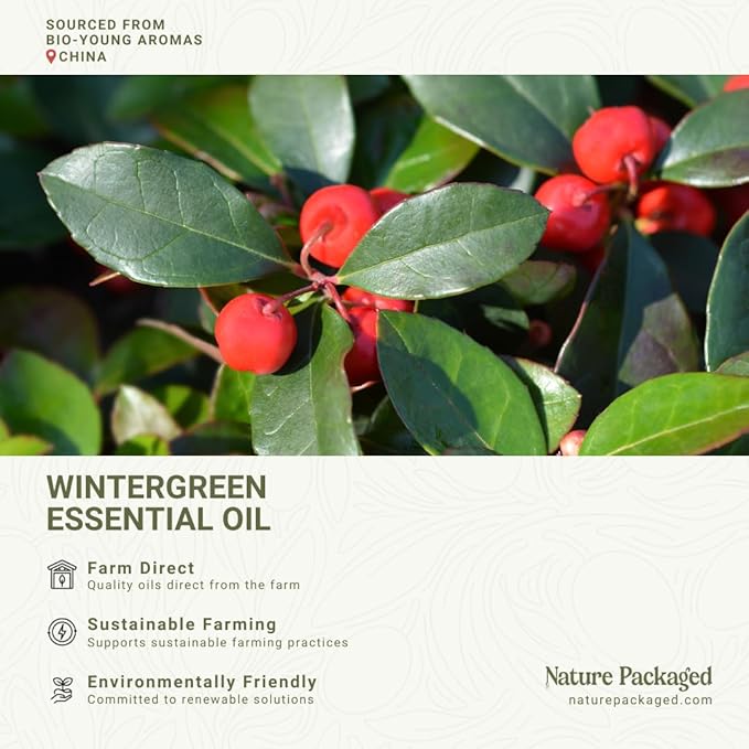 Wintergreen Essential Oil - Direct from Bio-Young Aromas China - Steam Distilled - Aceite de Gaulteria for Aromatherapy, Massage, Diffuser, DIY Candle and Soap Making - 8oz