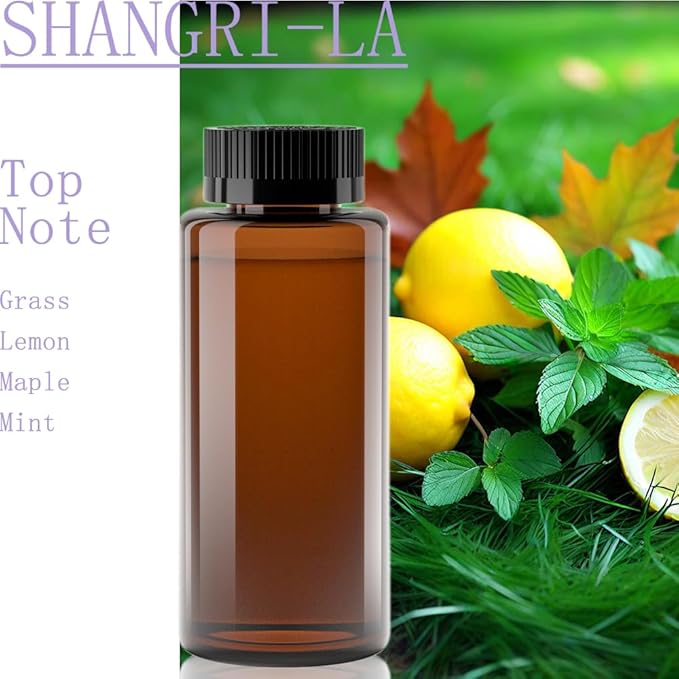 Fragrance Scent Diffuser Genuine Oil - DIFFMELY, Original Bottle for X200 X2000 Diffuser, 7 Fl Oz 200ml, Less Than 0.55 Cost per Day, Fragrance Oil, Type Shangri-La