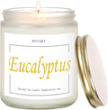 Eucalyptus Mint Highly Scented Candles, Natural Soy Aromatherapy Organic Non Toxic Candles with Long Lasting Burn, Luxury Essential Fragrance Jar Candle Gift for Birthday, Housewarming (9oz)
