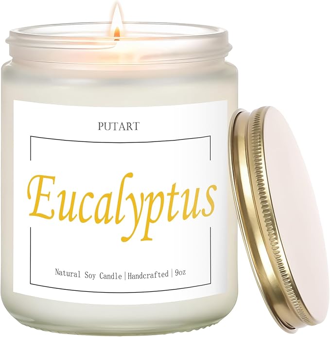 Eucalyptus Mint Highly Scented Candles, Natural Soy Aromatherapy Organic Non Toxic Candles with Long Lasting Burn, Luxury Essential Fragrance Jar Candle Gift for Birthday, Housewarming (9oz)