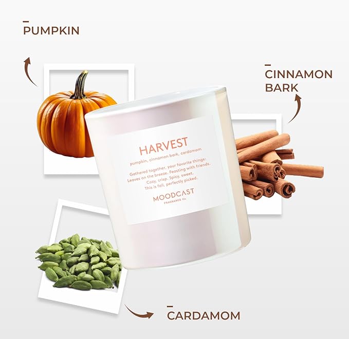 Moodcast Harvest Scented Fall Candle - Aesthetic Candle for Home, Pumpkin, Cinnamon Bark & Cardamom, Clean Coco Wax Blend, Vegan, Paraben Free, 50-Hour Long Lasting Burn - 8oz