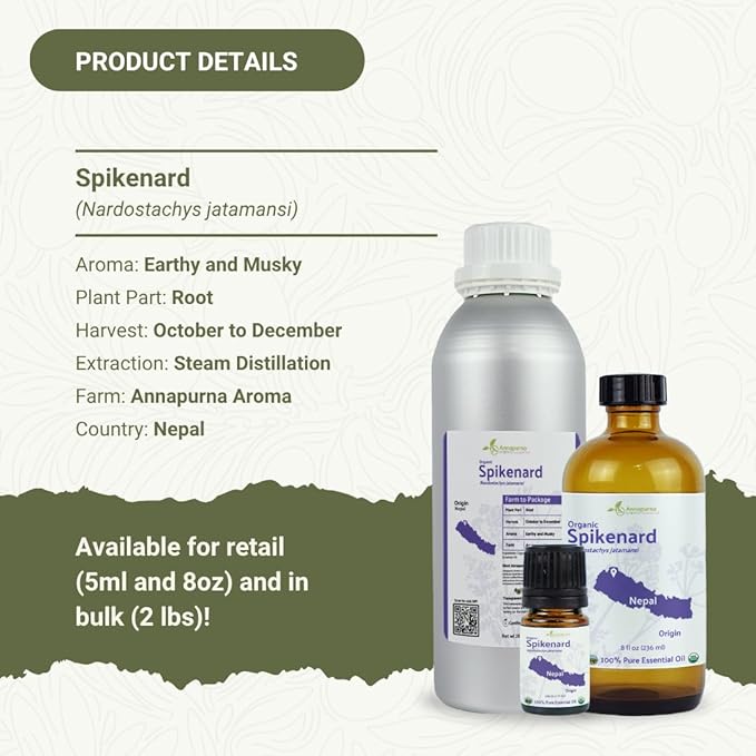 Organic Spikenard Essential Oil - Direct from Annapurna Aroma Nepal - Steam Distilled - Aceite de Nardo for Aromatherapy, Massage, Diffuser, DIY Candle and Soap Making - 5ml