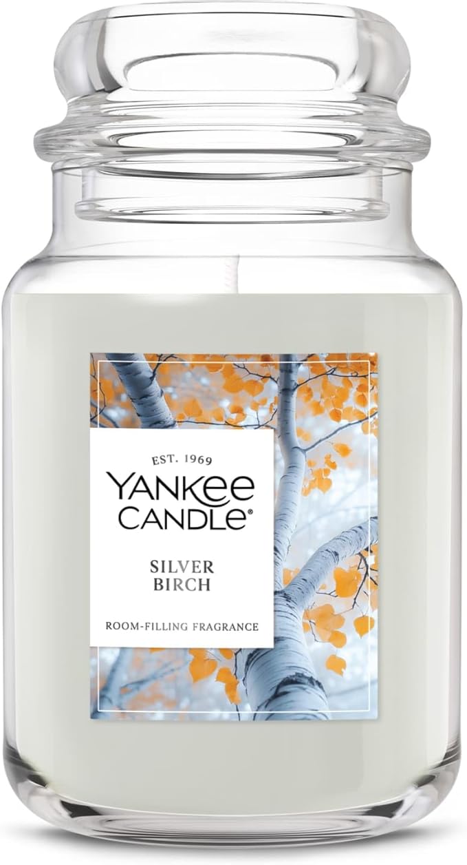 Yankee Candle Silver Birch, Holiday Scented Candle, 22oz Large Jar with up to 150 Hour Burn Time, Giftable
