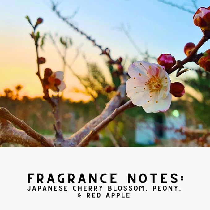 The Diamond Life Home Les Fleurs Bundle – Pink Peony & Iris Carpet Powder for Vacuuming with Room Spray – Upholstery, Air & Fabric Odor Eliminator – Pet & Kid Friendly