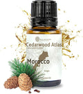 Pure Cedarwood (Atlas) Essential Oil (15ml) - Direct from Malagassi Essential Oils Farm in Morocco - Essential Oils for Diffusers and Aromatherapy | Pure Therapeutic Grade
