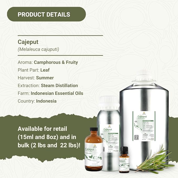 Cajeput Essential Oil (22lbs) - Direct from Central Java, Indonesia - Essential Oils for Diffusers Aromatherapy; Essential Oils for Body; Massage Oils | 100% Pure Therapeutic Grade