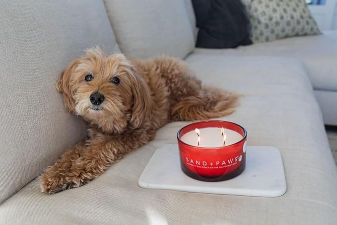 Sand + Paws Scented Candle - Frazier Fir – Additional Scents and Sizes – 100% Cotton Lead-Free Wick - Luxury Air Freshening Jar Candles - Perfect Home Decor – 23oz