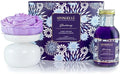 Spongellé BlackBerry Reed Diffuser – Bold Fruity Fragrance for Home, Elegant Glass Jar, Long-Lasting Scent, Premium Gift Box – Private Reserve Collection