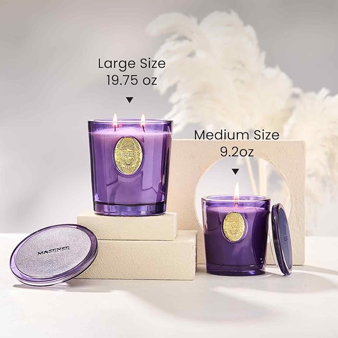 M&SENSE Large Two-Wick Strong Soy Candle | Berry Rose & Purple |19.8 oz, 120H Burn Time | Luxury Scented Candle for Relaxation, Gifting, Home Décor | Ideal for Bedroom, Office, Party Ambiance