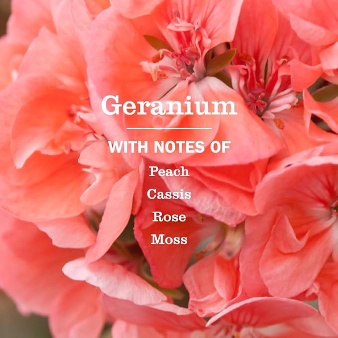 MRS. MEYER'S CLEAN DAY Room and Air Freshener Spray, Non-Aerosol Spray Bottle Infused with Essential Oils, Geranium, 8 Fl. Oz
