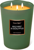 HomeLights Scented Candles - Large Jar Aromatherapy, Natural Soy Wax, 130 Hour Long Burning, Wild Mint & Eucalyptus