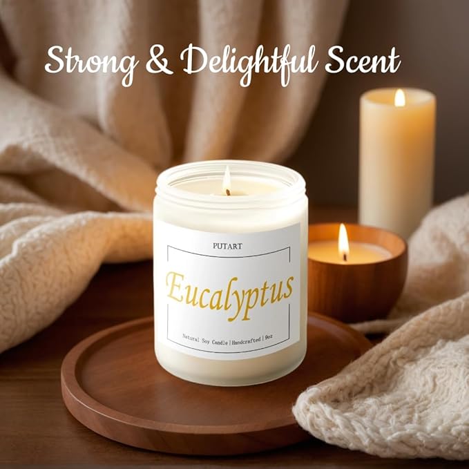 Eucalyptus Mint Highly Scented Candles, Natural Soy Aromatherapy Organic Non Toxic Candles with Long Lasting Burn, Luxury Essential Fragrance Jar Candle Gift for Birthday, Housewarming (9oz)