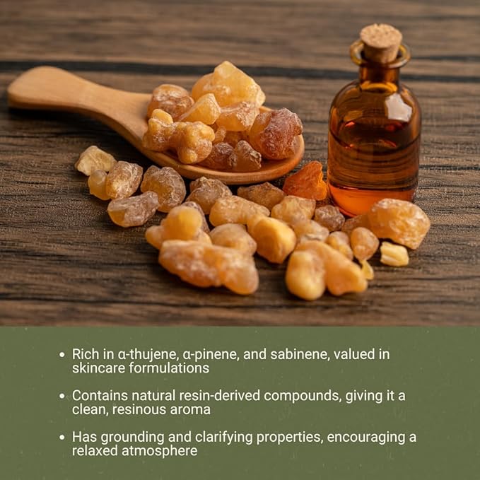 Frankincense Essential Oil - Direct from Madhya Pradesh, India - Pure Essential Oil for Diffusers and Aromatherapy | 100% Pure Therapeutic Grade Natural Aceite de Incienso (22lbs)
