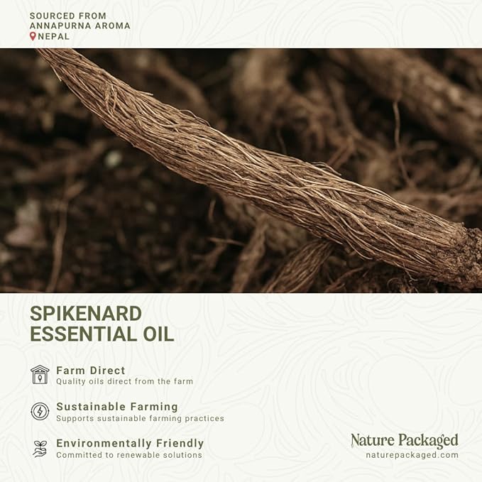 Organic Spikenard Essential Oil - Direct from Annapurna Aroma Nepal - Steam Distilled - Aceite de Nardo for Aromatherapy, Massage, Diffuser, DIY Candle and Soap Making - 8oz