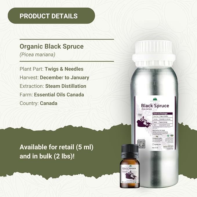 Organic Black Spruce Essential Oil from Canada - Black Spruce Essential Oils for Candle Scent (8oz)