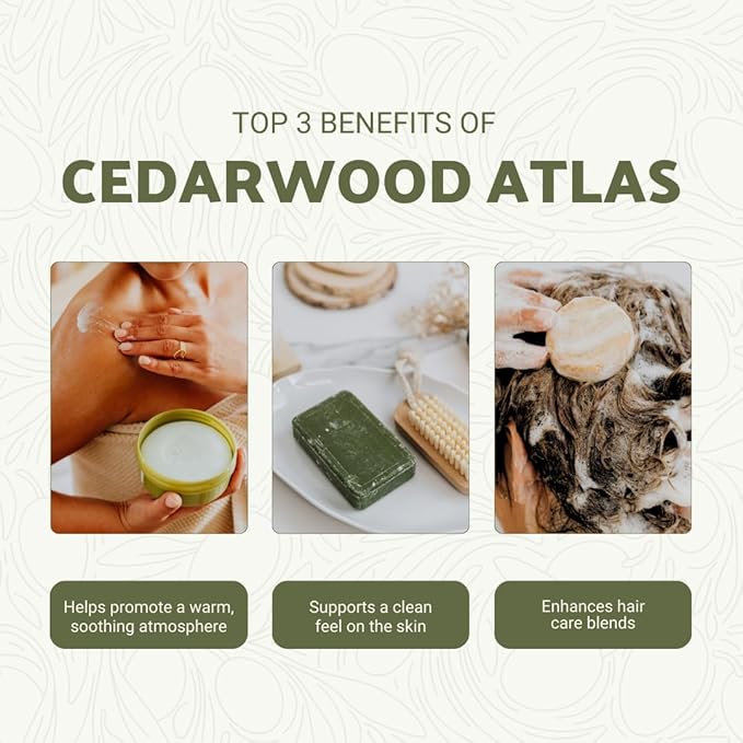 Pure Cedarwood (Atlas) Essential Oil (15ml) - Direct from Malagassi Essential Oils Farm in Morocco - Essential Oils for Diffusers and Aromatherapy | Pure Therapeutic Grade