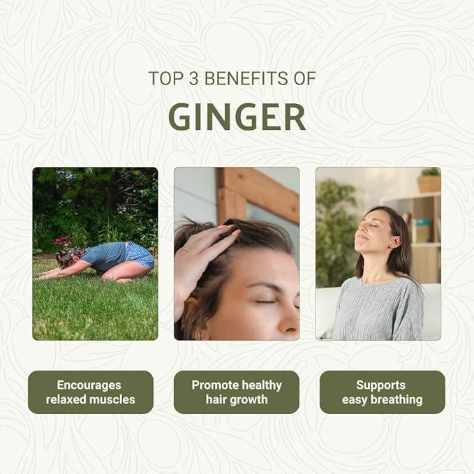 Ginger Essential Oil - Direct from Bio-Young Aromas - Pure Ginger Oil for Skin - Aceite de Jengibre - Aromatherapy 100% Therapeutic Premium Grade (2lbs)