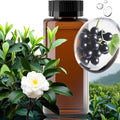 Fragrance Scent Diffuser Genuine Oil - DIFFMELY, Original Bottle for X200 X2000 Diffuser, 7 Fl Oz 200ml, Less Than 0.66 Cost per Day, Fragrance Oil, Type Misty Mountain Water