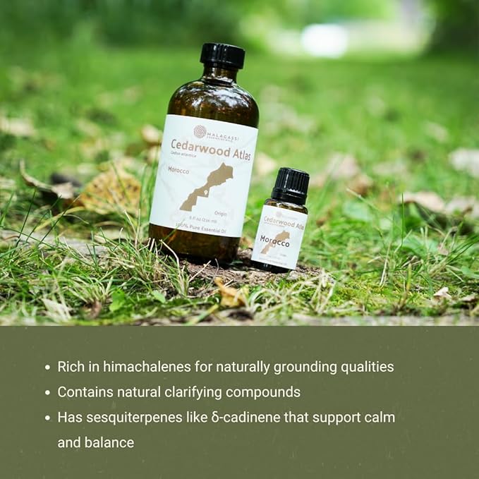 Pure Cedarwood (Atlas) Essential Oil (15ml) - Direct from Malagassi Essential Oils Farm in Morocco - Essential Oils for Diffusers and Aromatherapy | Pure Therapeutic Grade