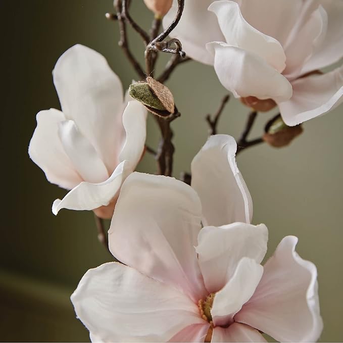 Thymes Home Fragrance Mist – Room Air Fresheners for Home Long Lasting – Air Freshener Spray – Premium Home Fragrance – Airy Notes of Willow, Magnolia, Mandarin & Jasmine (Magnolia Willow, 3 oz)