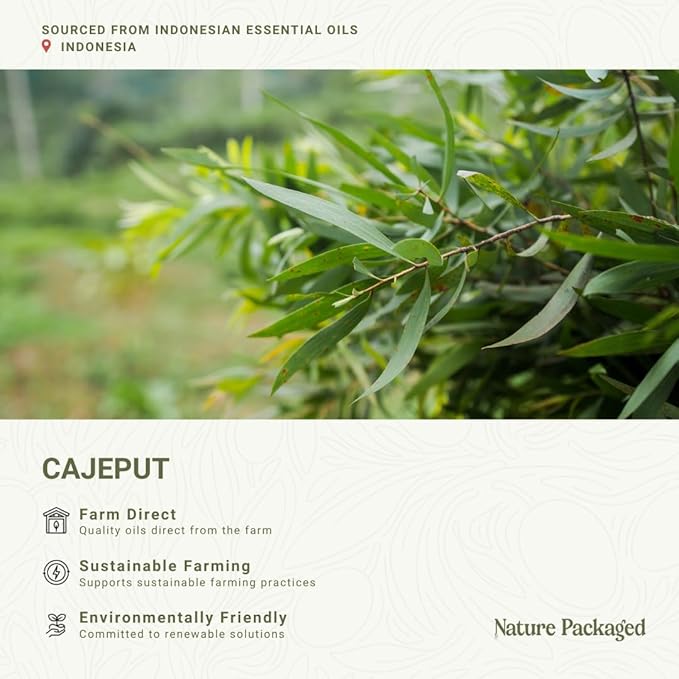 Cajeput Essential Oil (22lbs) - Direct from Central Java, Indonesia - Essential Oils for Diffusers Aromatherapy; Essential Oils for Body; Massage Oils | 100% Pure Therapeutic Grade