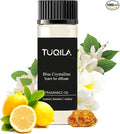 Waterless Essential Oil 20ml Blue Crystalline Hotel Scent- Lemon, Bergamot, Ocean, Jasmine, Amber& Musk Fragrance for Home, Hotel, Office, Car Aroma Scent Oils for Diffusers