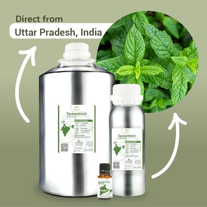 Spearmint Essential Oil - Direct from Essential Oils India - Steam Distilled - Aceite Esencial de Menta Verde for Aromatherapy, Massage, Diffuser, DIY Candle and Soap Making - 8oz