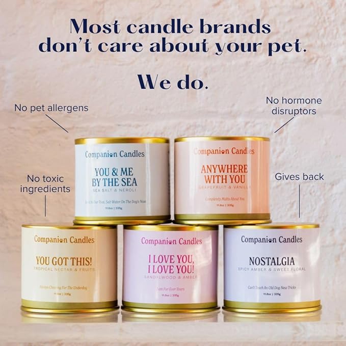 Companion Candles Pet Safe Wood Wick Candle - “You & Me by The Sea” Sea Salt & Neroli, Coconut Soy Wax Scented, Over 50 Hr Burn Time, Non-Toxic, Women-Owned, Made in USA (11.8 oz.)