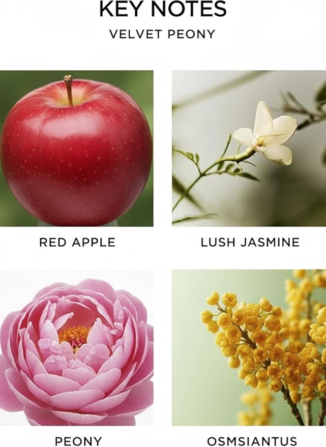 Peony Garden Oil Reed Diffuser | Sweet Floral Scent Essential Oils | Aromatherapy Diffuser & Room Freshener | Home, Bathroom & Office Decor | Housewarming Gift | 6oz
