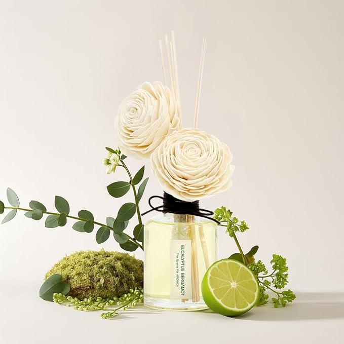 Aronica Twin Sola Diffuser 160ml_Eucalyptus and Bergamot Essential Oil Flower Diffuser, Non Toxic Reed Diffusers, Beach Themed Home Room Decor, Natural Gift for Men, Beach Scent