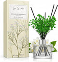 Reed Diffuser Set (6.7fl oz), Natural White Jasmine Essential Oil Fragrance with Glass Bottle, Black Rattan Sticks & Preserved Flowers, Up to 120 Days Lasting Fragrance for Home & Office