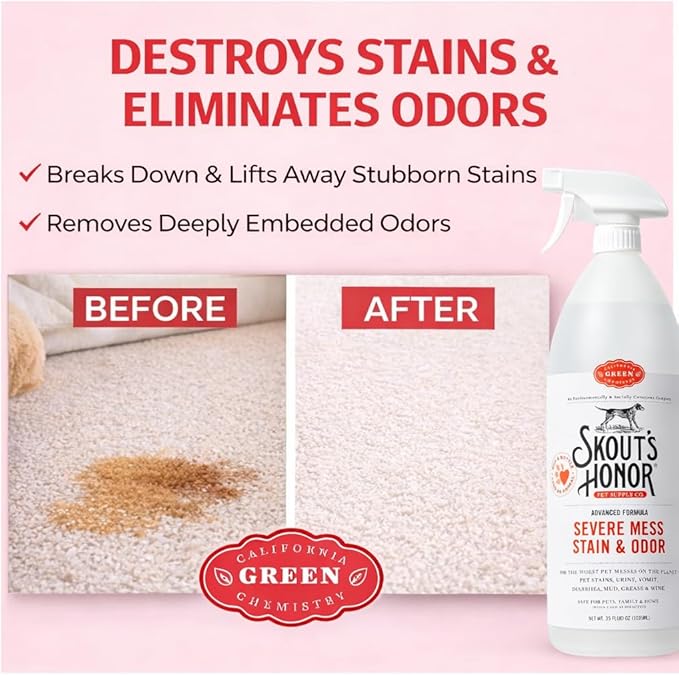 SKOUT'S HONOR Severe Mess Stain & Odor Eliminator, Powerful Stain Remover and Carpet Cleaner for Tough Dog Messes, Eco-Friendly Carpet Deodorizer, Cleaning Spray and Poop Spray, 35 oz
