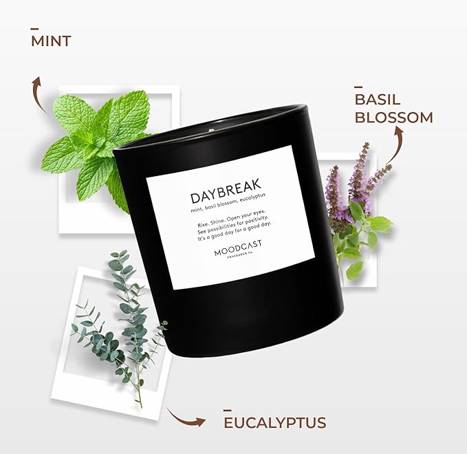 Moodcast Daybreak Scented Candle – Aesthetic Candle for Home, Mint, Basil Blossom & Eucalyptus, Clean Coco Wax Blend, Vegan, Paraben-Free, 45-Hour Long Lasting Burn – 8oz